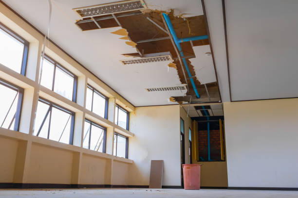 Best Water damage cleanup near me  in East York, PA