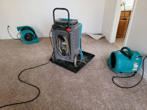 Best Flooded house restoration  in East York, PA