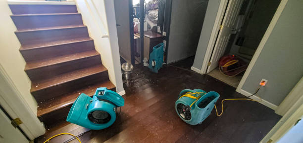 Best Water damage restoration process  in East York, PA