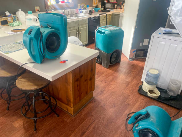 Best Water damage restoration near me  in East York, PA