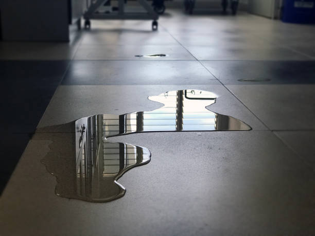 Best Water damage restoration near me  in East York, PA