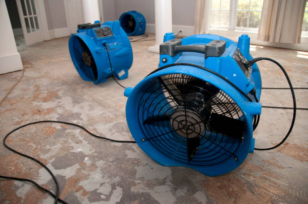 Best Fire Damage Restoration  in East York, PA