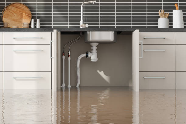 Best Mold removal after water damage  in East York, PA