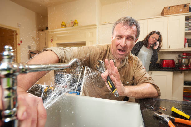 Best Basement water damage restoration  in East York, PA